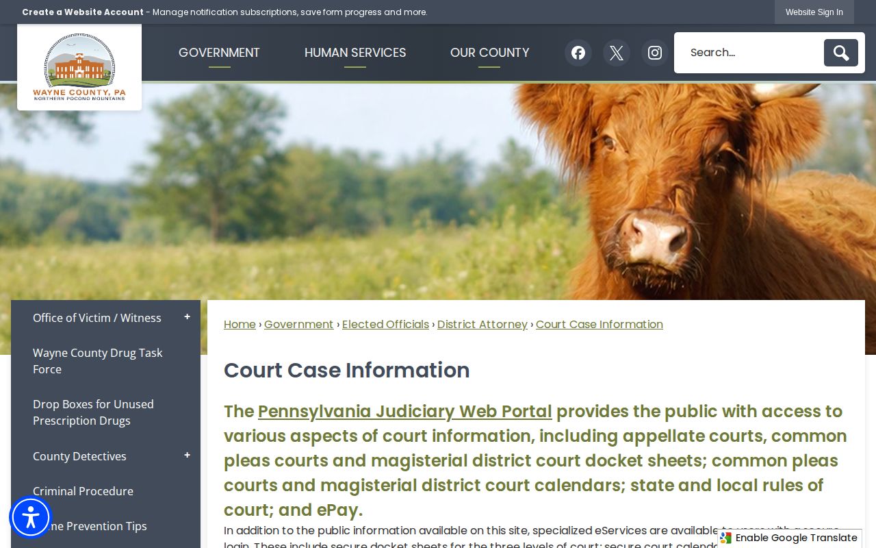 Wayne County released inmate court case information route